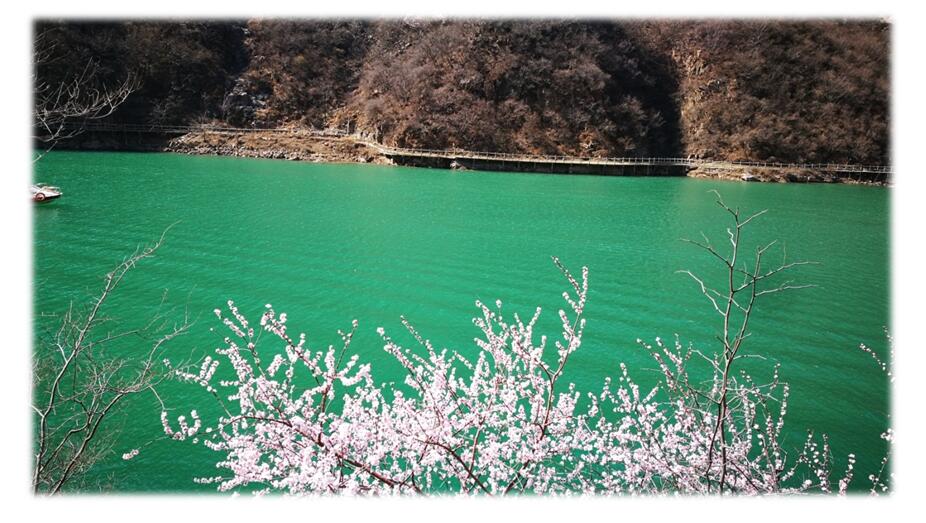 1489630622720556.jpg 5.jpg